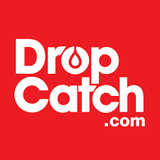 DropCatch 是否出现故障？